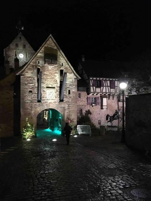 Appartement Chaleureux Vue Sur Centre Historique Riquewihr Esterno foto